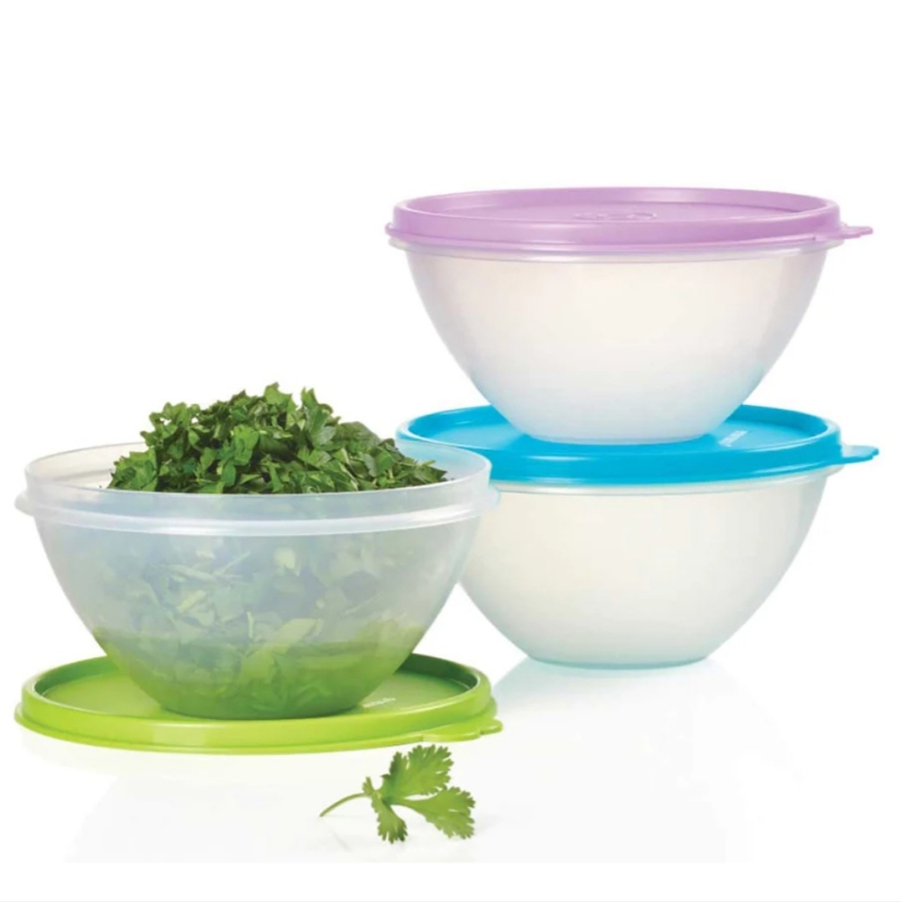 Tupperware Small Wonderlier Bowls set of 3 New